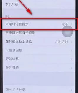 iPhone中开启来电报名字的具体操作步骤
