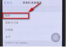 iPhone中开启来电报名字的具体操作步骤