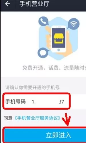 在支付宝里查看话费流量余额的操作过程