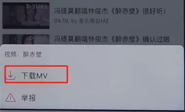 网易云音乐app中将MV下载到手机中的具体操作步骤