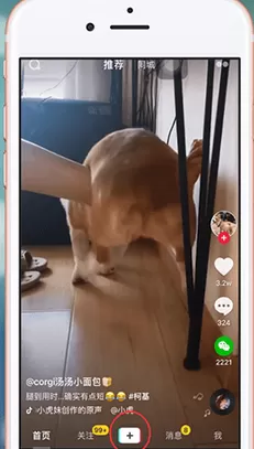 抖音中拍摄甩狗头特效的具体操作步骤