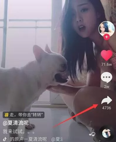 荣耀8x设置动态壁纸的具体操作流程
