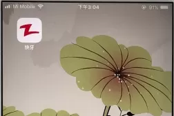 快牙中传电视剧的具体操作步骤