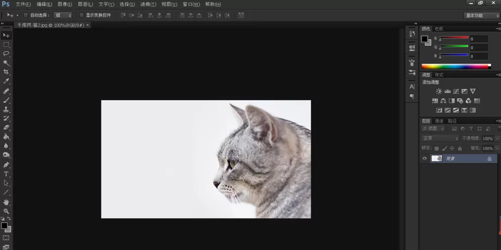 Photoshop中使用黑白命令抠图的详细操作流程