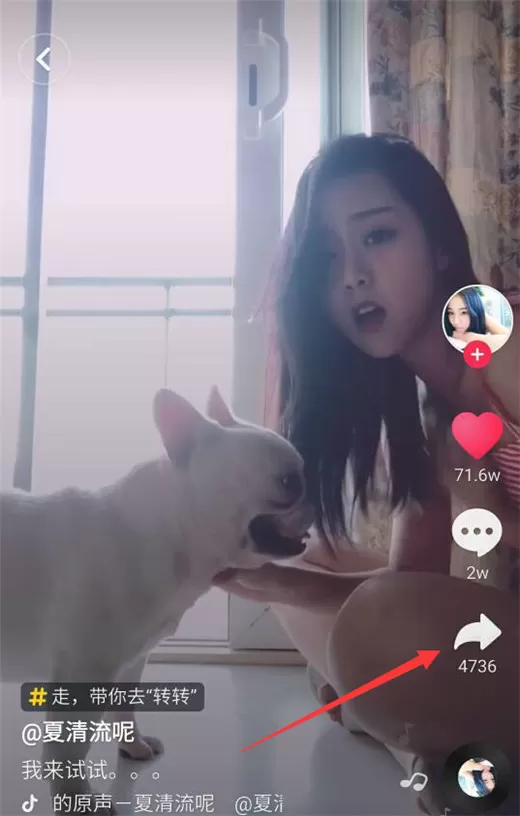vivoy97中设置抖音动态壁纸的具体流程介绍