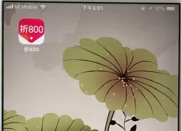 折800中查询订单的具体操作步骤