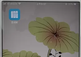 百词斩中开始背单词的操作步骤