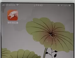 猎豹浏览器中将缓存清理的详细操作步骤