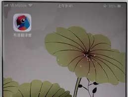 有道翻译官中更换语音的具体步骤