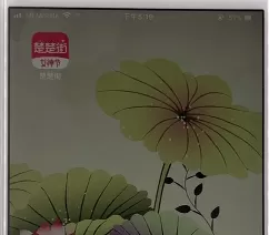 楚楚街中领取红包的详细操作步骤