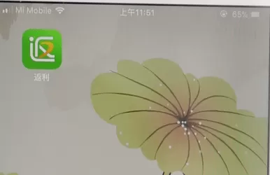 在返利网里将金额提现到支付宝的操作步骤