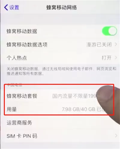 苹果手机中查询移动流量的具体操作流程