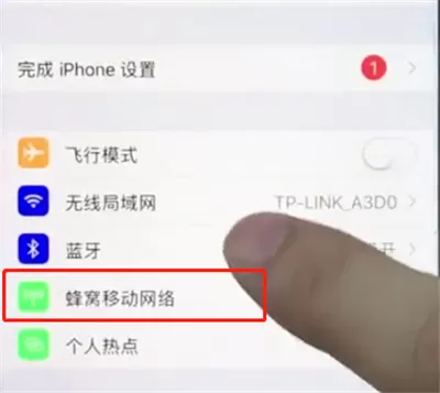 苹果手机中查询移动流量的具体操作流程