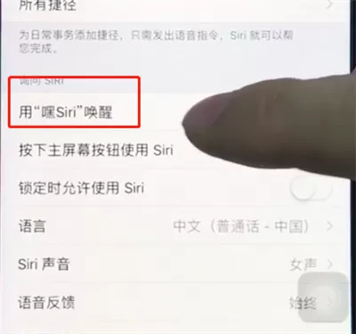 ios12中开启siri的具体操作方法介绍