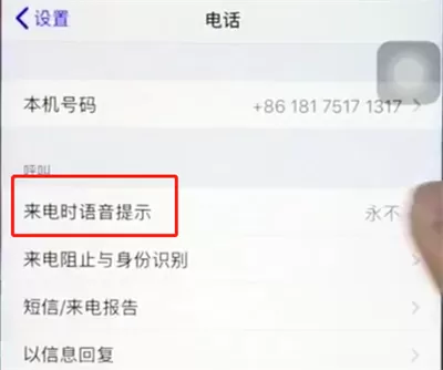 ios12中开启来电语音播报的具体操作流程