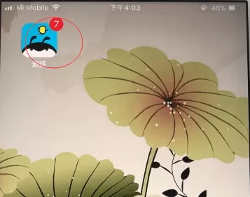 派派中赚钱的具体操作步骤介绍