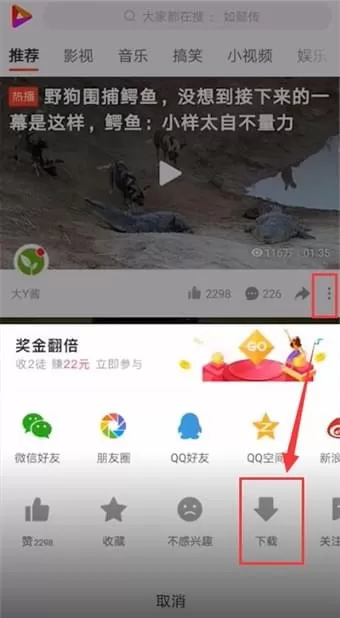 好看视频APP中找到下载文件的操作步骤介绍