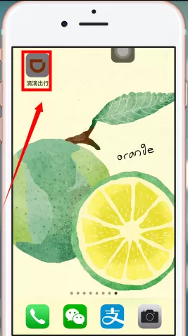 滴滴出行中打印行程单的具体操作方法