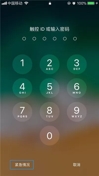 iphonex中查看医疗急救卡的具体操作步骤