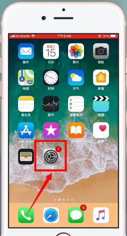 苹果手机中查看版本的具体步骤介绍
