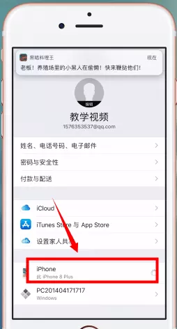 苹果手机中查看版本的具体步骤介绍