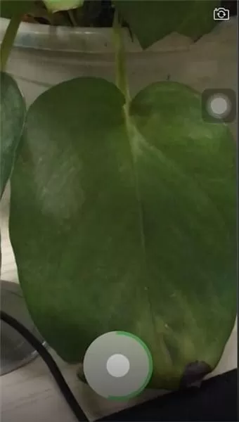 微信APP中放大小视频的具体操作步骤