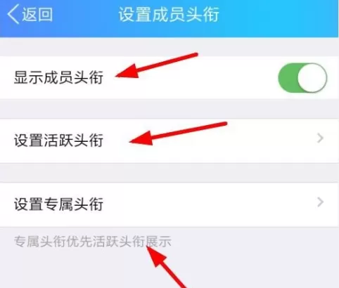 手机QQ中为QQ群设置专属头衔的具体步骤介绍