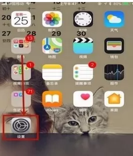苹果手机中将定位功能关闭的具体操作步骤