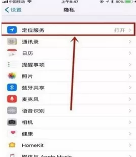 苹果手机中将定位功能关闭的具体操作步骤