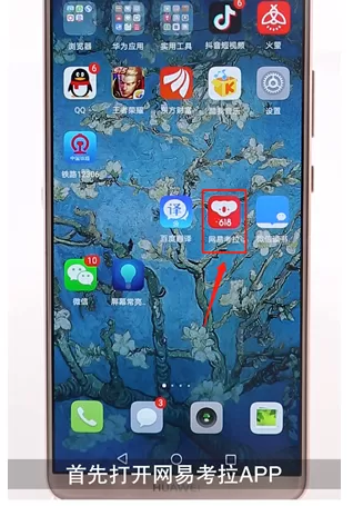 网易考拉中加入购物车的具体操作流程