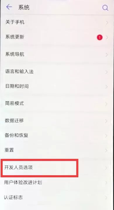 华为nova3e中将开发者选项的具体步骤介绍