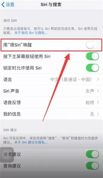 iphone中将siri关掉的具体操作步骤介绍