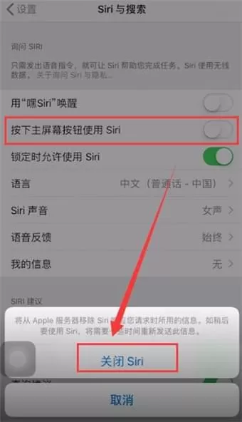 iphone中将siri关掉的具体操作步骤介绍