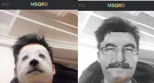 msqrd的详细使用流程介绍