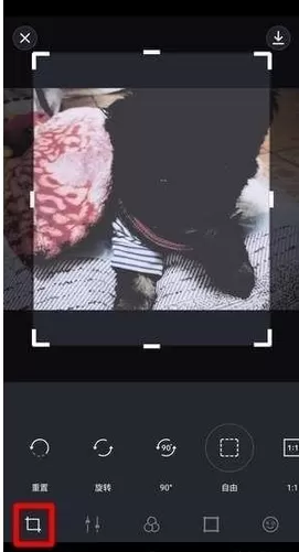 VaporCam的详细使用流程介绍