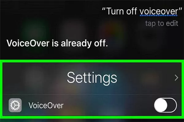 苹果手机关掉voiceover功能的操作过程