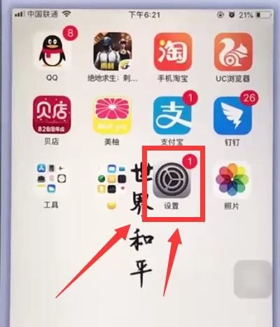 苹果手机中将苹果id退出的具体操作方法