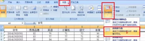 excel2007冻结窗口的操作教程