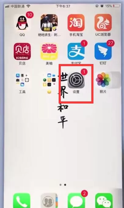 苹果手机中关掉亮度自动调节的具体操作流程