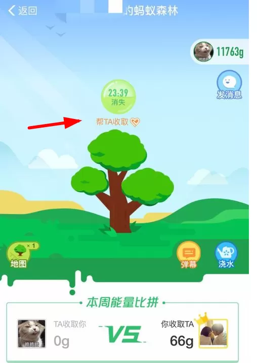 在支付宝蚂蚁森林里帮好友收能量的简单操作