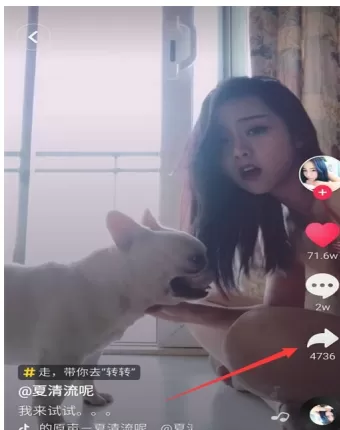 华为畅享8e中设置动态壁纸的具体流程介绍