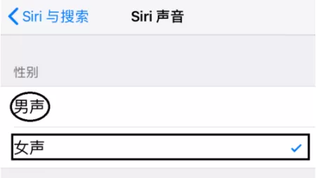 苹果手机设置Siri声音的图文操作