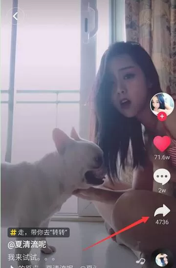 华为畅享7s中设置动态壁纸的具体流程