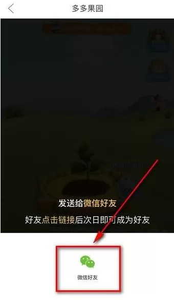 拼多多中果园添加好友的具体操作流程