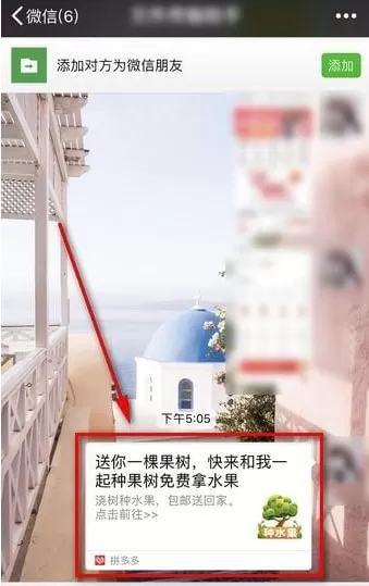 拼多多中果园添加好友的具体操作流程