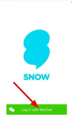 snow的详细注册流程介绍