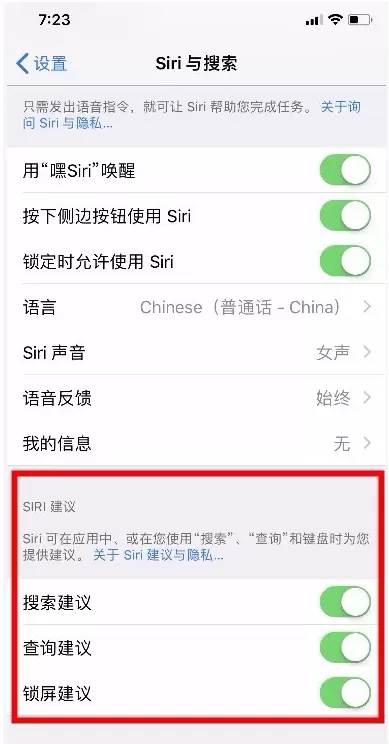 在iPhone中使用搜索框的详细教程