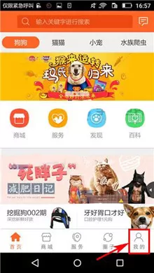 波奇宠物中将消息提醒关掉的具体操作方法