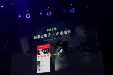 网易云音乐中使用小冰电台的具体操作方法