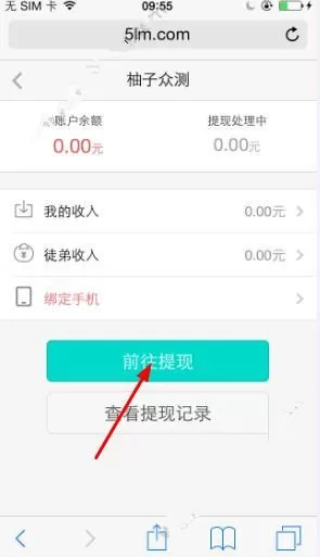 柚子众测中提现的具体操作流程